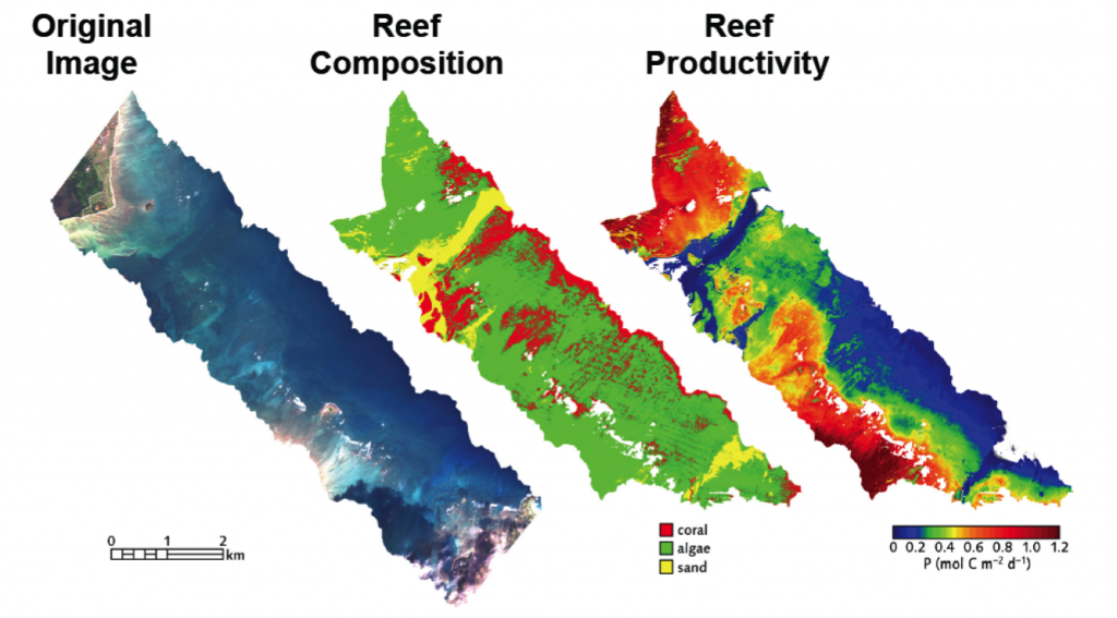 CORAL data maps