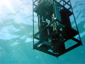 IOP cage being deployed in Hawaii