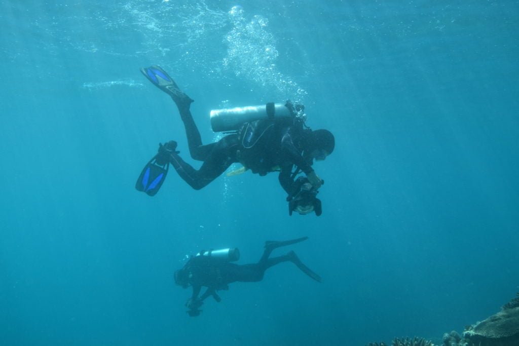 Divers conduct a benthic cover survey. Credit: Stacy Peltier