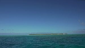 heron island
