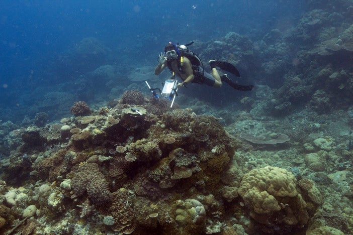 Diver on a reef in Palau after taking measurements